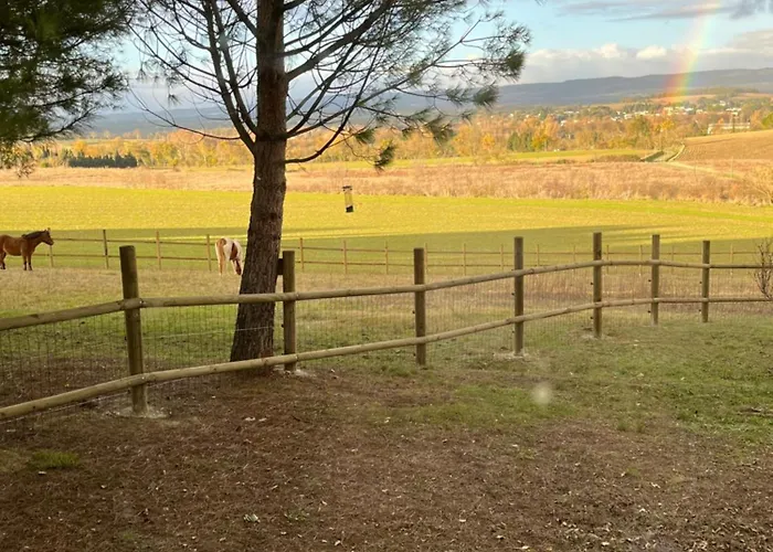 Domaine Saladry